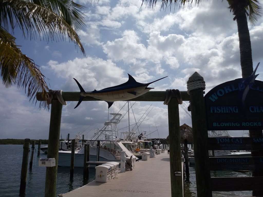 Blowing Rocks Marina/Tiki Bar | 18487 SE Federal Hwy, Jupiter, FL 33469 | Phone: (561) 746-3312