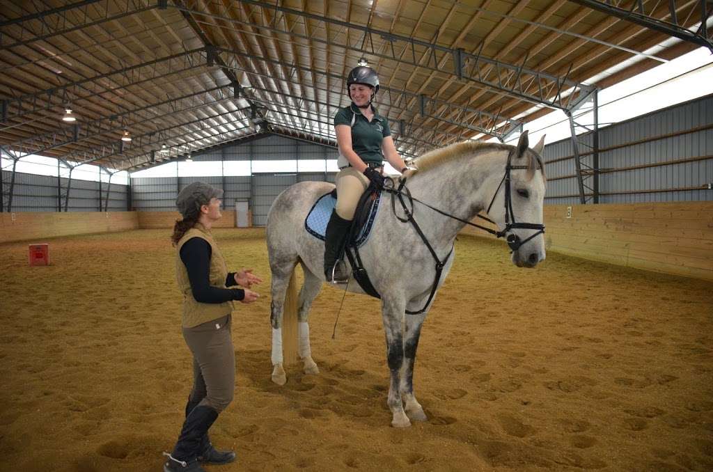 Playland Equestrian Center | 12924 Molasses Rd, Union Bridge, MD 21791, USA | Phone: (301) 788-1188