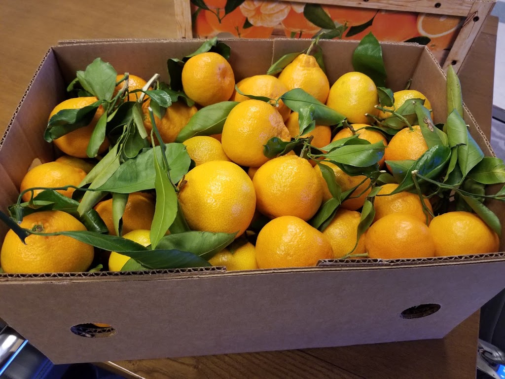 MG Produce | 2910 Ross St, Vernon, CA 90058, USA | Phone: (323) 432-5300