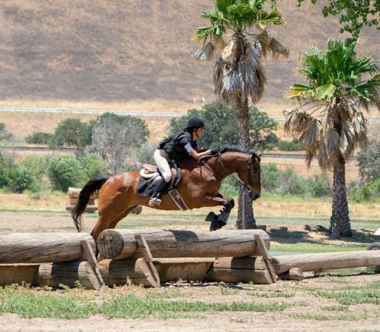 Canty Rune Training Stables | 10480 Creek Rd, Oak View, CA 93022 | Phone: (805) 203-3064
