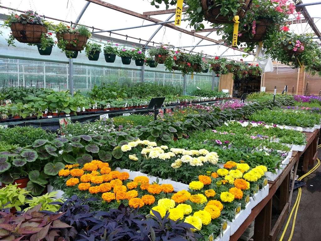 Top Pots | The Nursery, Westmill Farm, Ware SG12 0ES, UK | Phone: 01920 465026