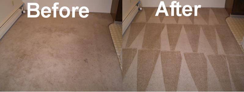 Advance Carpet Care LLC | 402 Parks Ln, Nicholasville, KY 40356, USA | Phone: (859) 553-0217