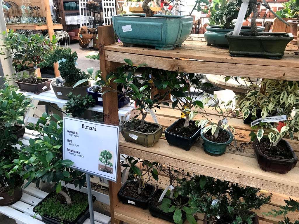 Cedar Grove Garden Center | 1201 Pompton Ave, Cedar Grove, NJ 07009, USA | Phone: (973) 256-1950