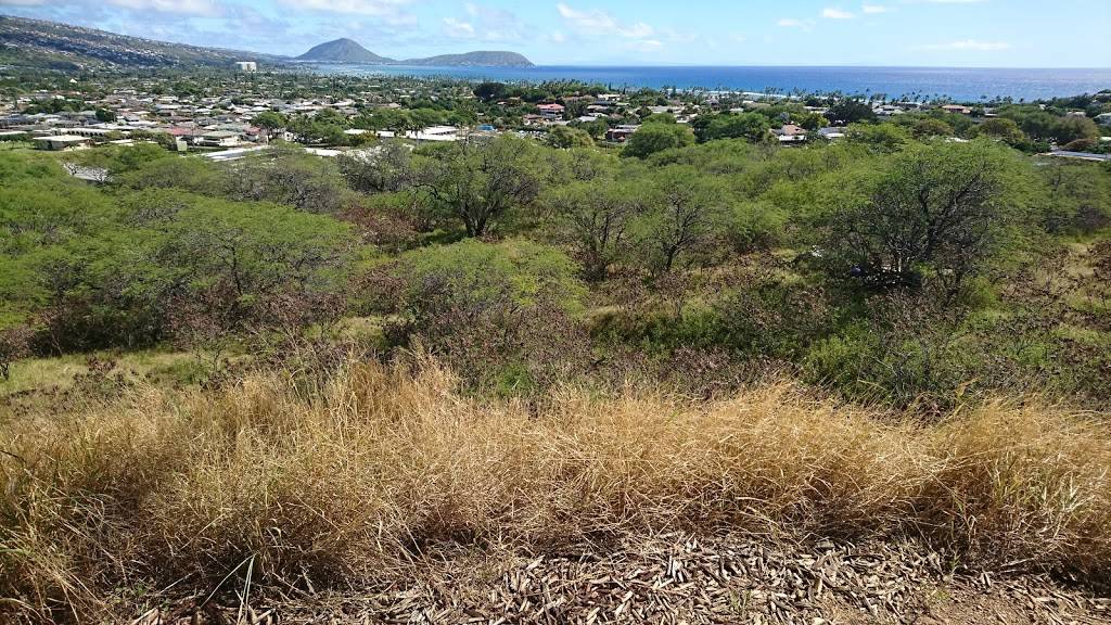 Diamond Head Memorial Park | 529 18th Ave, Honolulu, HI 96816, USA | Phone: (808) 734-1954