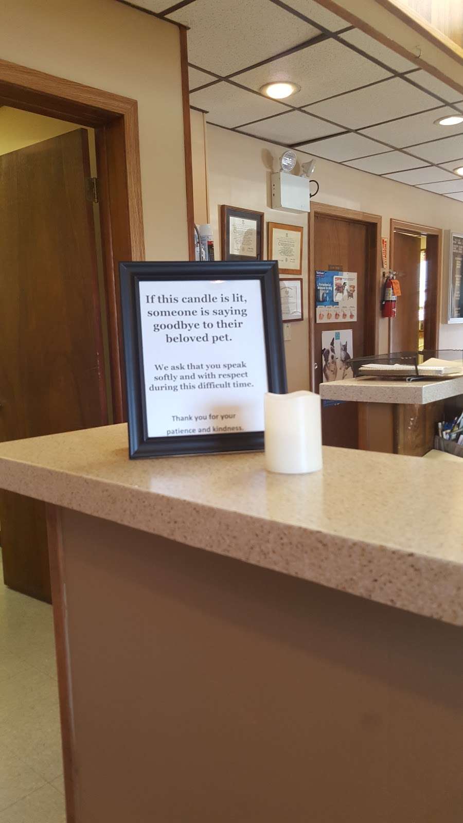 Bryan Animal Hospital | 102 Burrs Rd, Westampton, NJ 08060, USA | Phone: (609) 267-0304