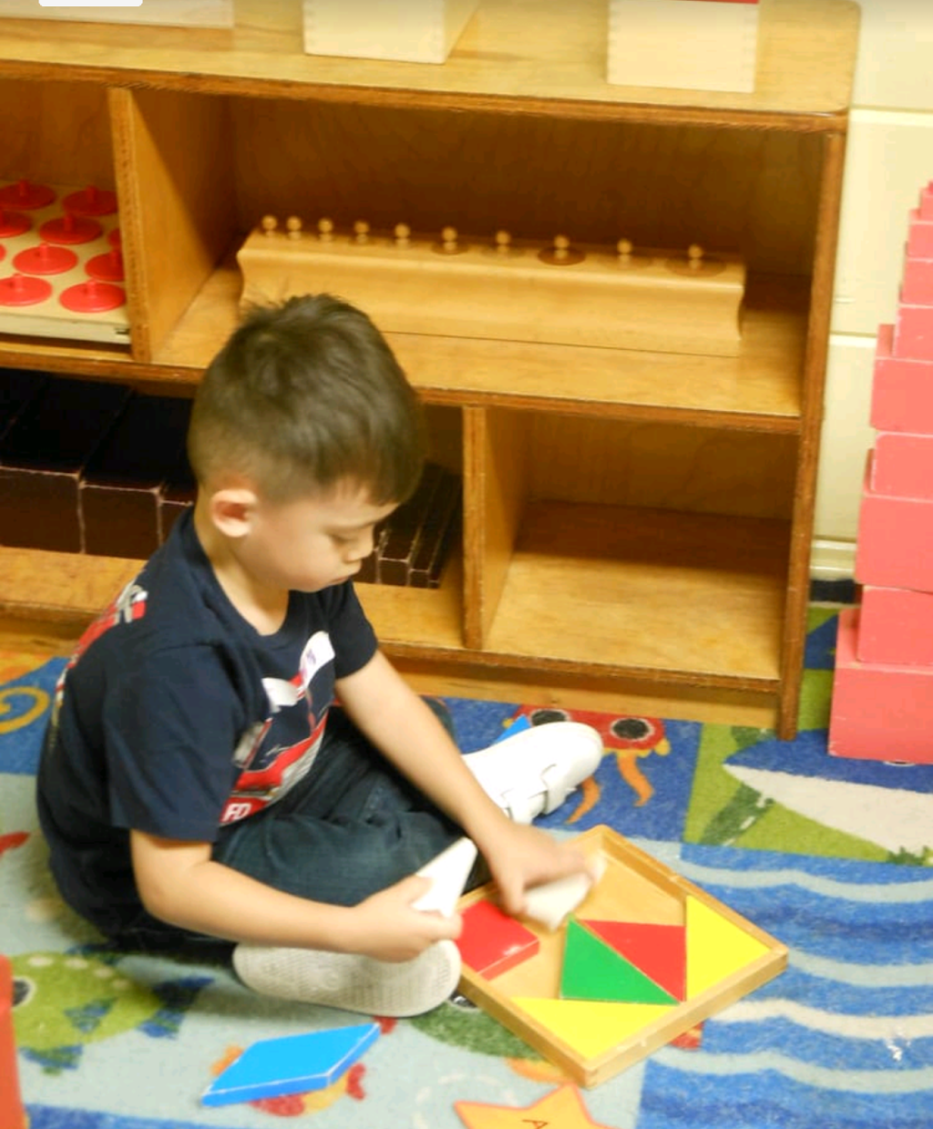 Giving Tree Montessori | 2555 Moorpark Ave, San Jose, CA 95128, USA | Phone: (408) 977-1772