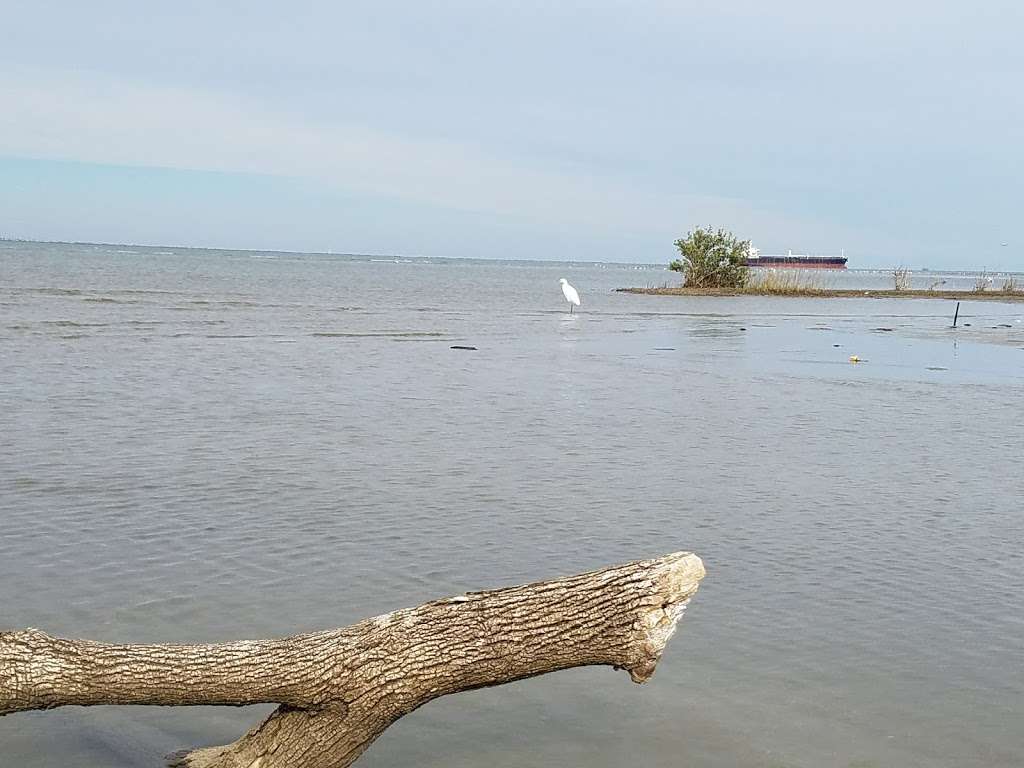 East End Lagoon Nature Preserve | Boddeker Rd, Galveston, TX 77550, USA | Phone: (409) 797-5111