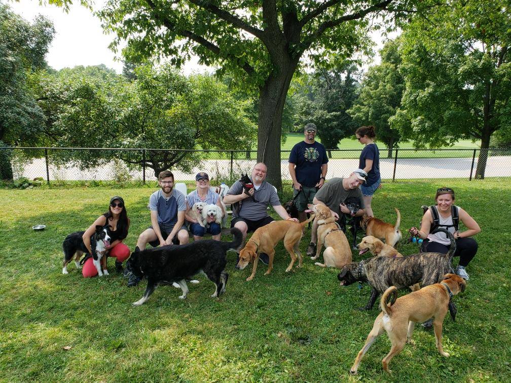 Currie Dog Park | 3535 N Mayfair Rd, Wauwatosa, WI 53222, USA | Phone: (414) 257-7275