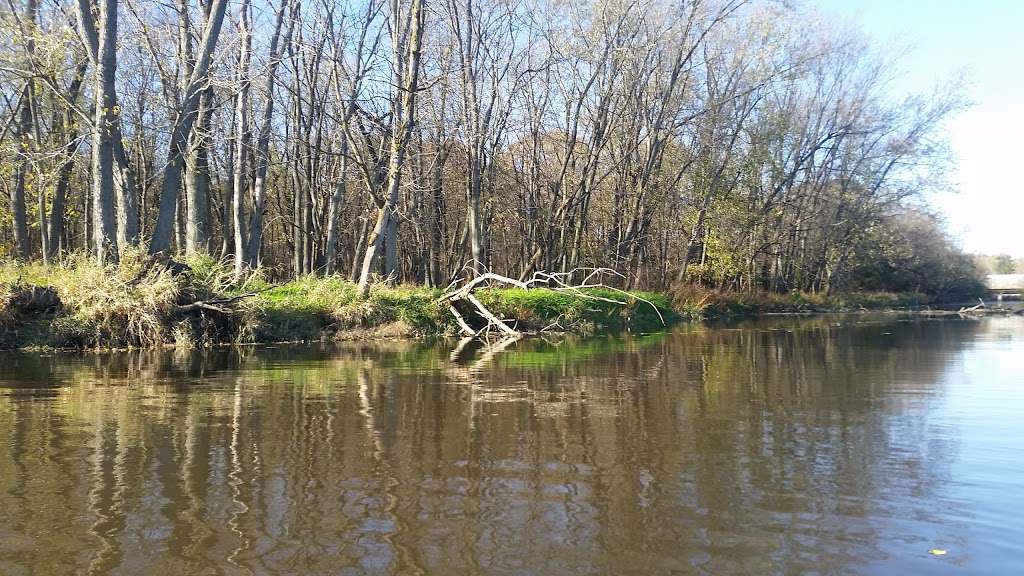 Paw Paw Woods Nature Preserve | 9102 Archer Ave, Willow Springs, IL 60480, USA | Phone: (800) 870-3666