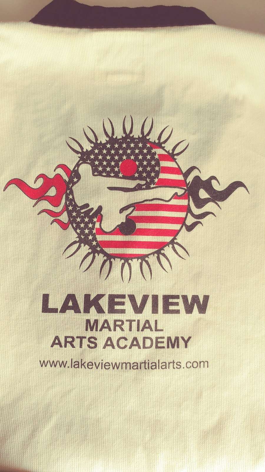 Lakeview Martial Arts Academy | 1614 Deerfield Rd, Highland Park, IL 60035 | Phone: (847) 831-4080