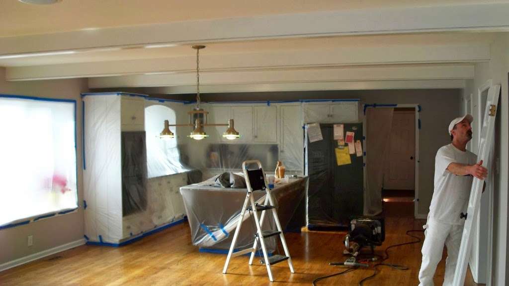 Professioal Painters | 20 Tohickon Valley Dr, Ottsville, PA 18942, USA | Phone: (610) 847-7158