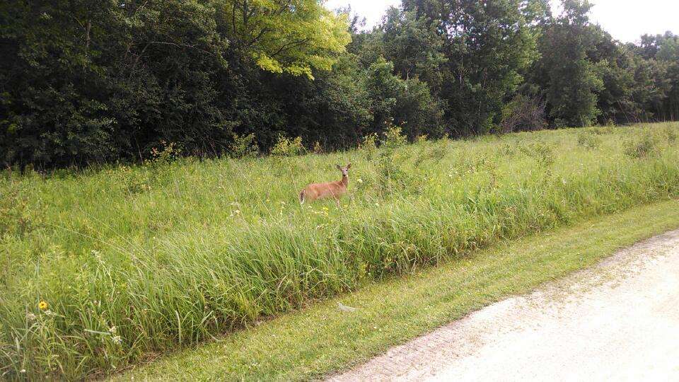 Grant Woods Forest Preserve | 25405 W Monaville Rd, Ingleside, IL 60041, USA | Phone: (847) 367-6640