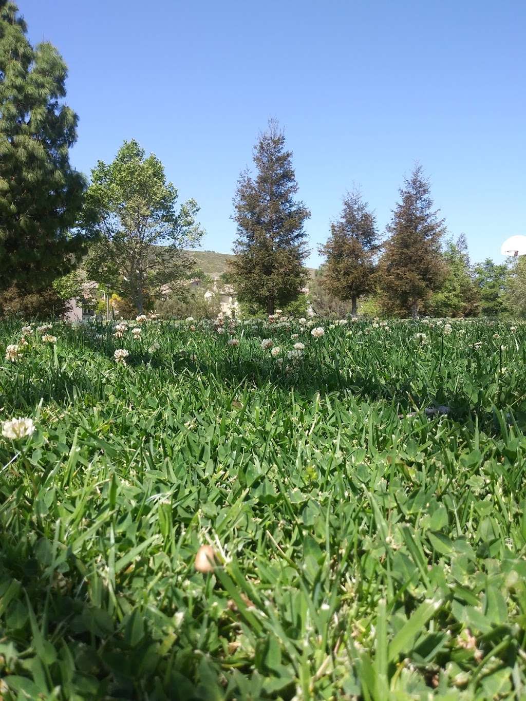 Old Windmill Park | 201 Long Canyon Rd, Simi Valley, CA 93065 | Phone: (805) 584-4400