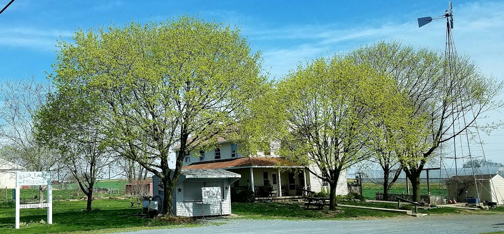 Bald Eagle Produce | 119 Hahnstown Rd, Ephrata, PA 17522