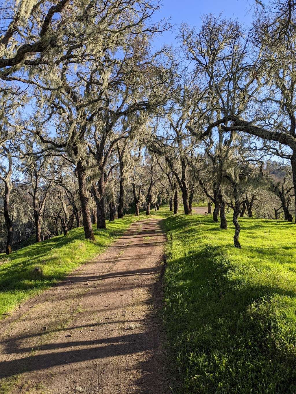 Napa County Regional Park District - Lake Hennessey City Recreat | St Helena, CA 94574, USA