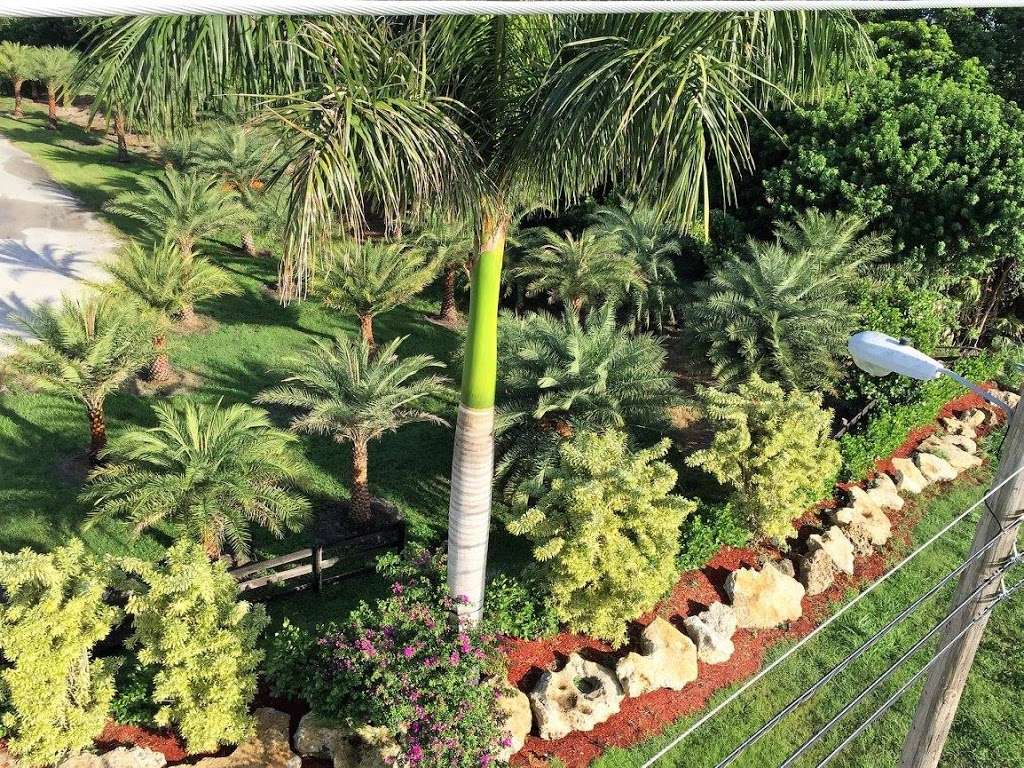 Top Notch Landscaping & Tree Service | 9655 87th Pl S, Boynton Beach, FL 33472, USA | Phone: (561) 733-3536