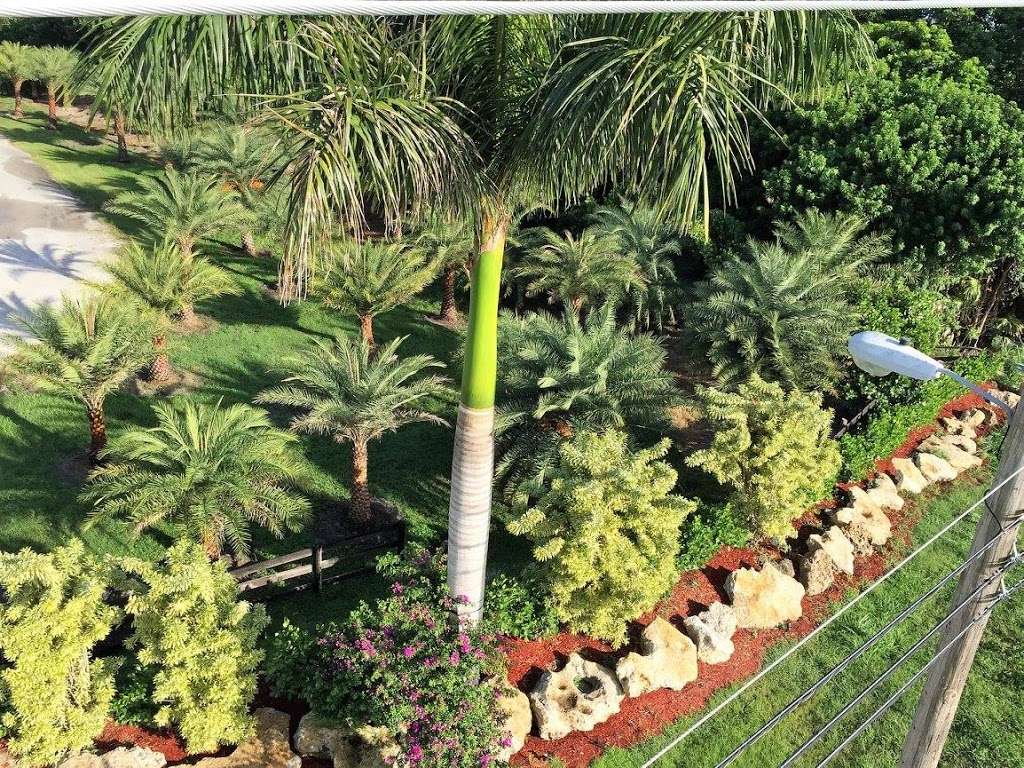 Top Notch Landscaping & Tree Service | 9655 87th Pl S, Boynton Beach, FL 33472 | Phone: (561) 733-3536