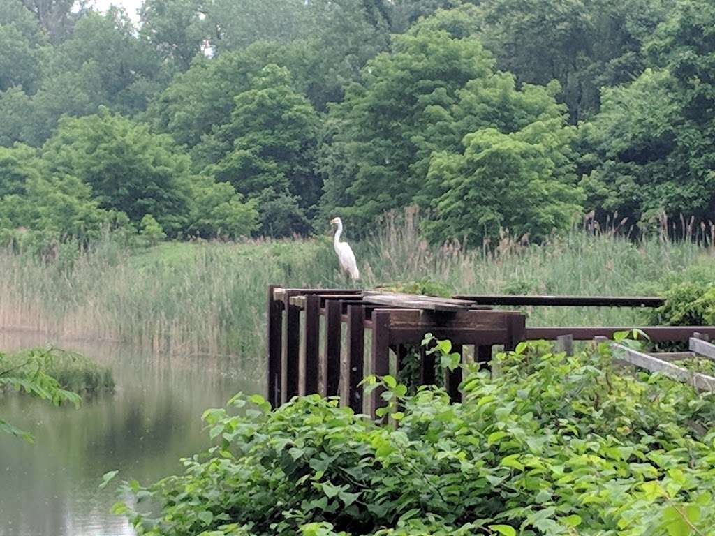 Palmyra Cove Nature Park | 1335 NJ-73, Palmyra, NJ 08065, USA | Phone: (856) 829-1900 ext. 1264