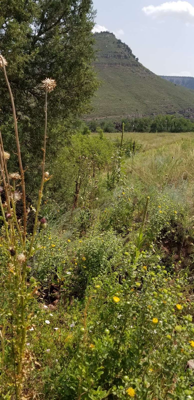 Hall Ranch Trailhead - Bitterbrush | 31389-, 31825 S St Vrain Dr, Lyons, CO 80540, USA