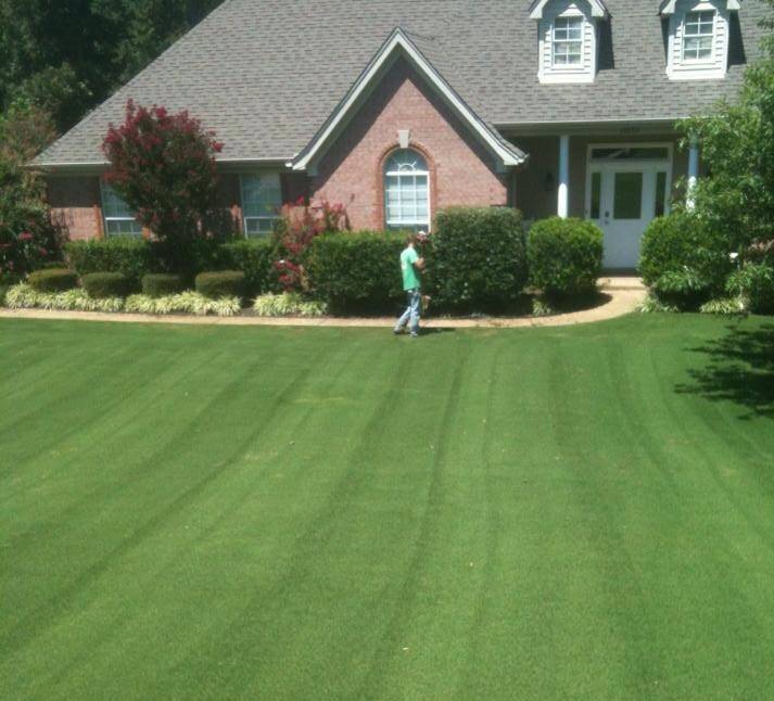 Ds Lawn and Landscapes | 4215 Pleasant Hill Rd, Olive Branch, MS 38654, USA | Phone: (662) 812-1255
