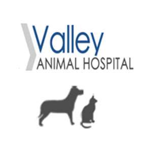 Valley Animal Hospital | 993 W Valley Blvd #120, Bloomington, CA 92316, USA | Phone: (909) 877-2384