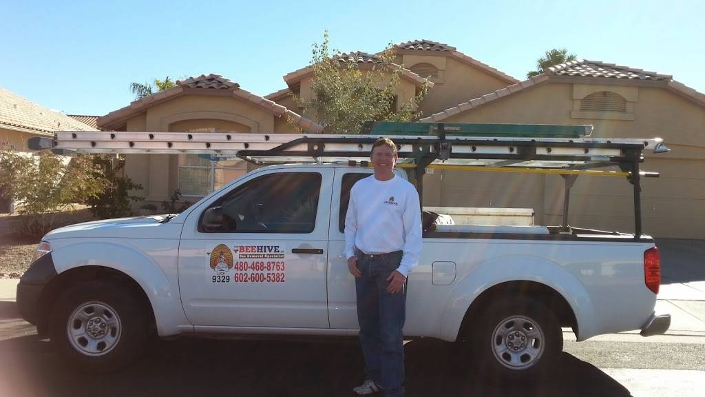 The Beehive Bee and Wasp Removal | 1852 E Bruce Ave, Gilbert, AZ 85234, USA | Phone: (602) 600-5382