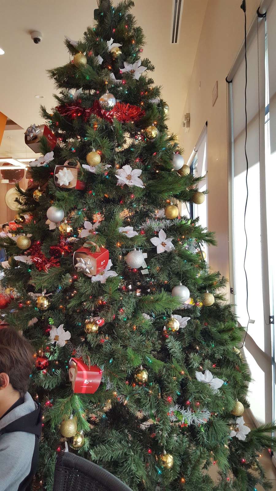 Santiago Palm Vista Mobile Home and RV Community - RV Storage | 35099 CA-74, Hemet, CA 92545, USA | Phone: (951) 926-1755