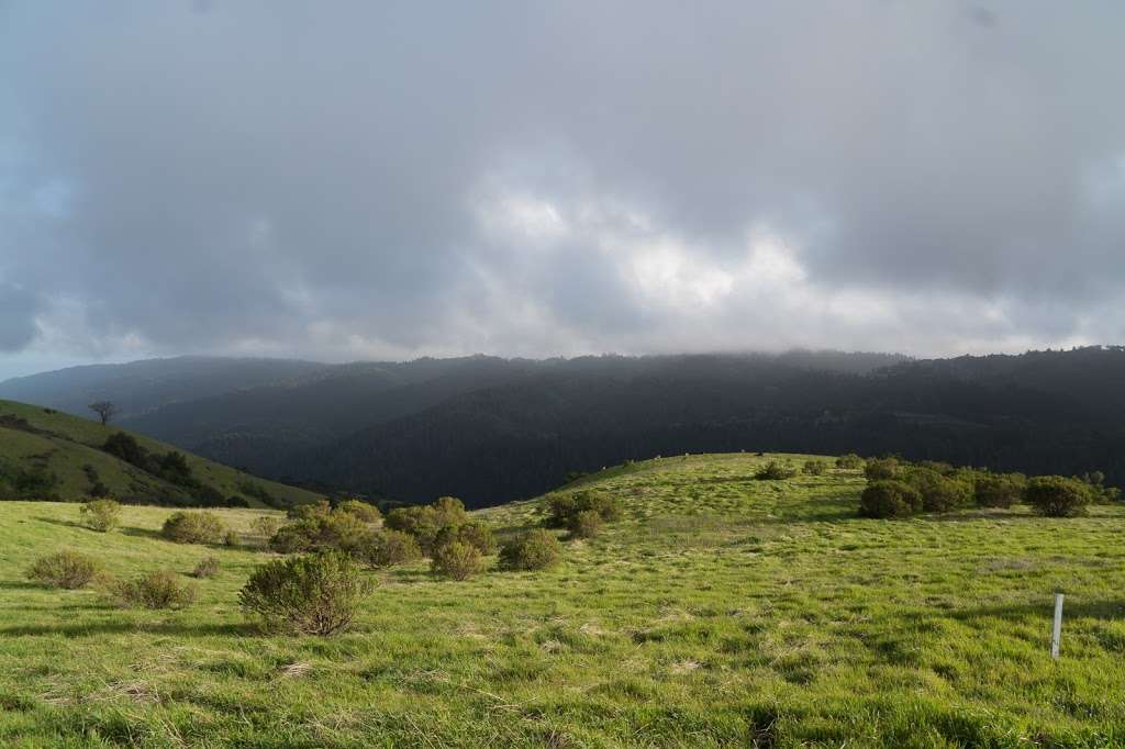 Black Mountain Backpack Camp | Monte Bello Rd (Trail), Los Altos, CA 94022, USA | Phone: (650) 691-1200