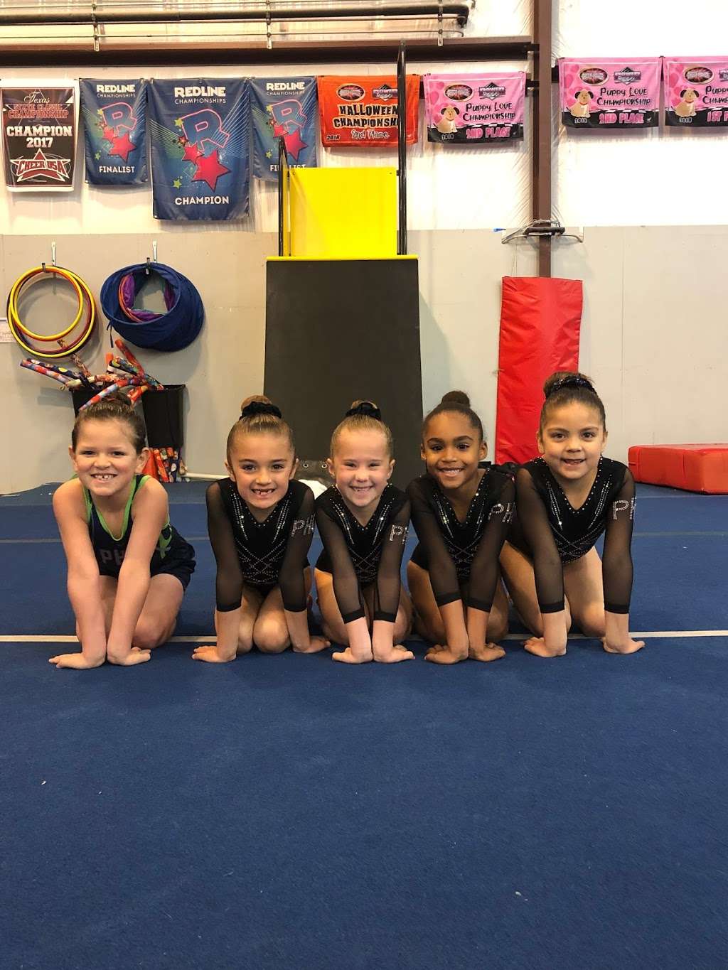 Powerhouse TnT Gymnastics | 7707 W Loop 1604 N, San Antonio, TX 78254, USA | Phone: (210) 767-9654