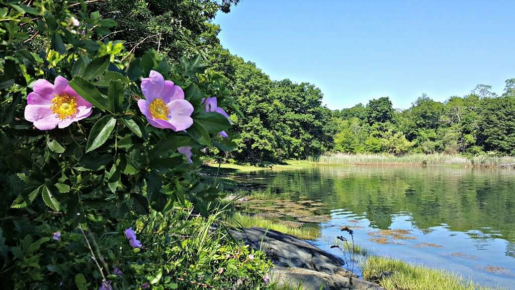 McCabe Park | Salem, MA 01970, USA