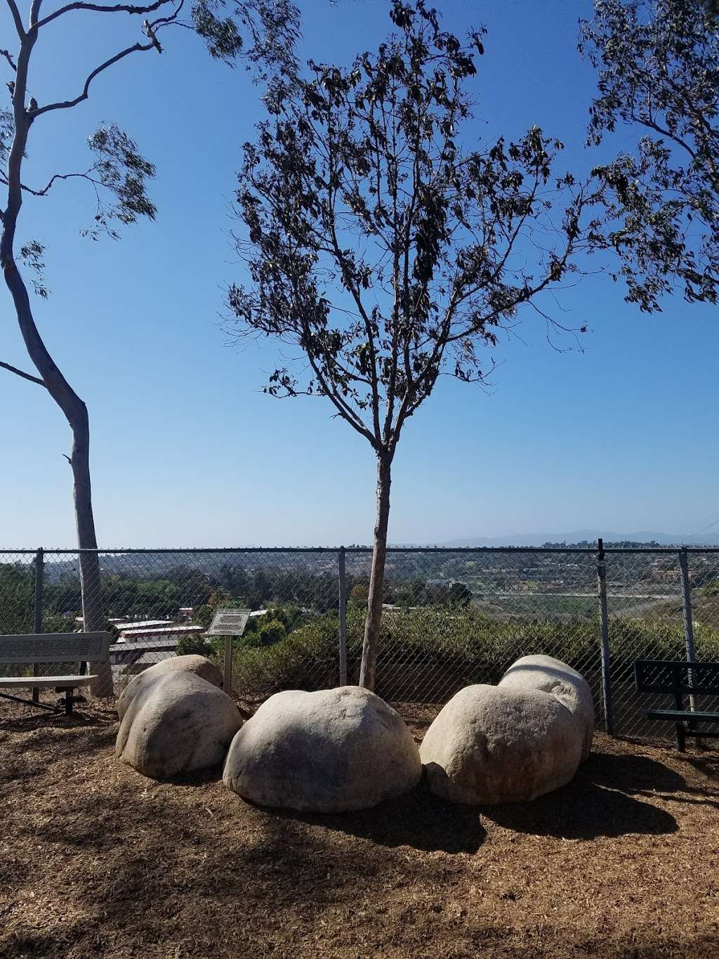 Ann D. LHeureux Memorial Dog Park | Carlsbad Village Dr, Carlsbad, CA 92008, USA | Phone: (760) 602-4680