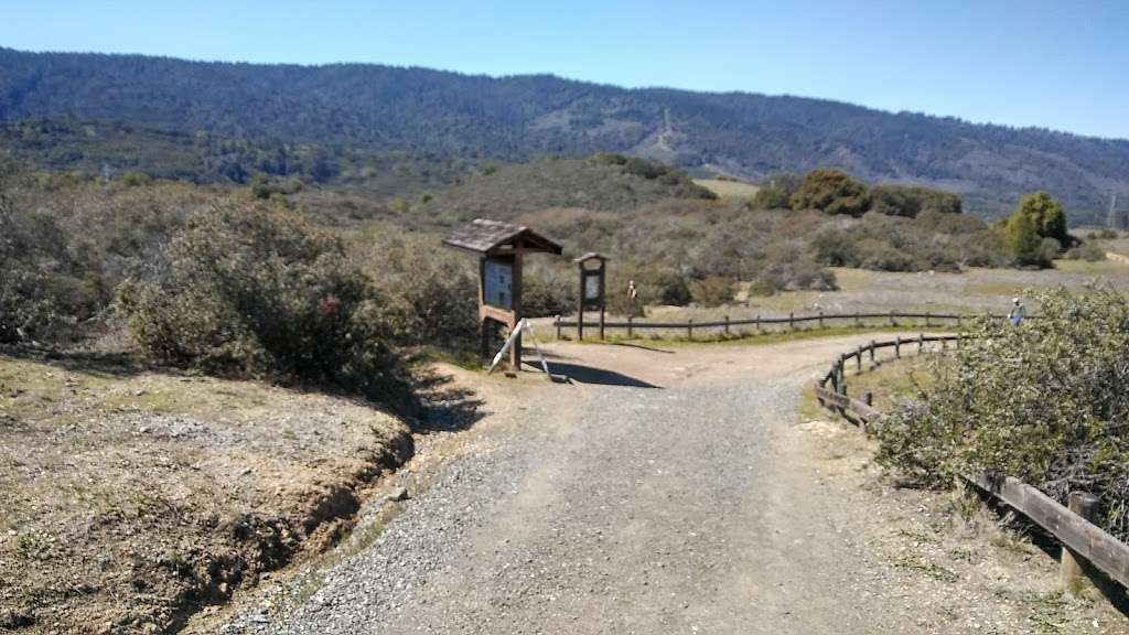 Edgewood Park & Natural Preserve | 10 Old Stage Coach Rd, Redwood City, CA 94062, USA | Phone: (650) 368-6283
