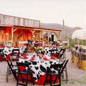 Special Events Table Linens | 349 N Black Canyon Hwy, Phoenix, AZ 85009, USA | Phone: (602) 353-8755