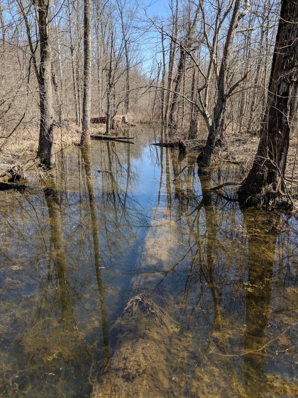 Beanblossom Bottoms Nature Preserve - Sycamore Land Trust | N Woodall Rd, Ellettsville, IN 47429, USA | Phone: (812) 336-5382