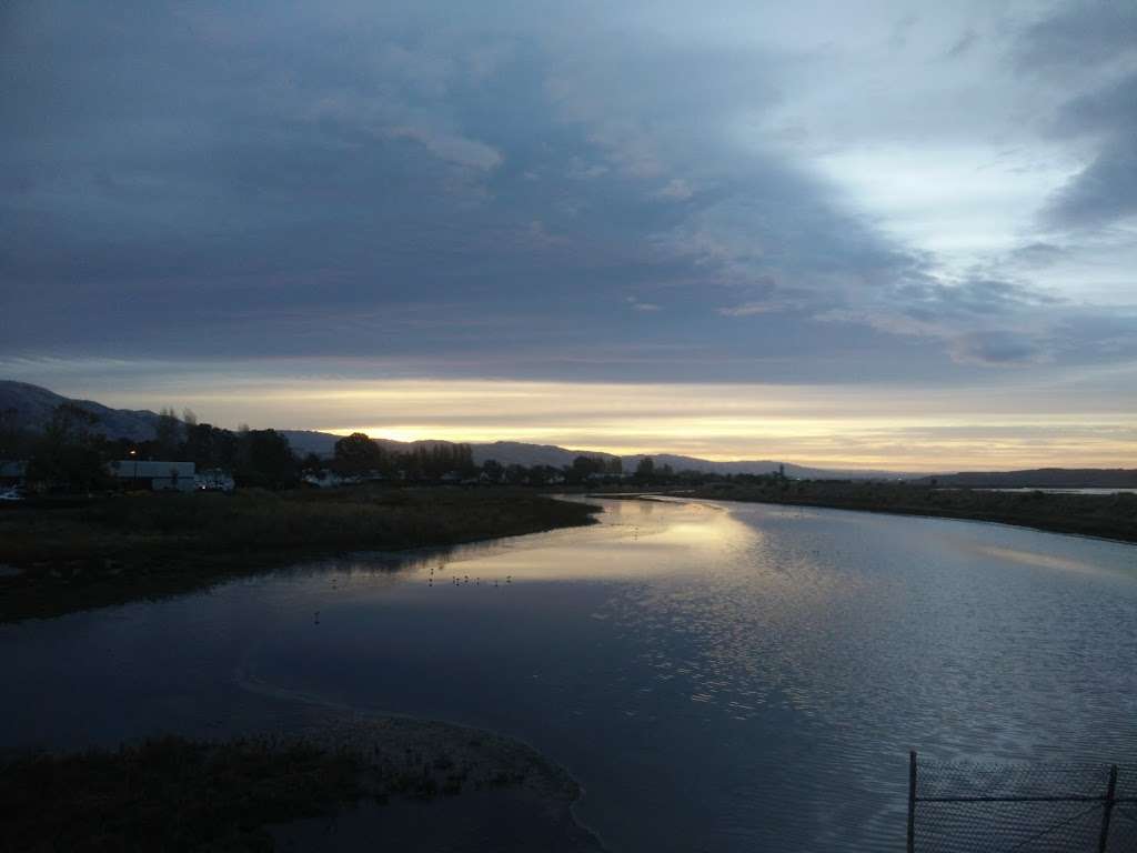 Coyote Lagoon at Don Edwards | Landing Rd, Fremont, CA 94538