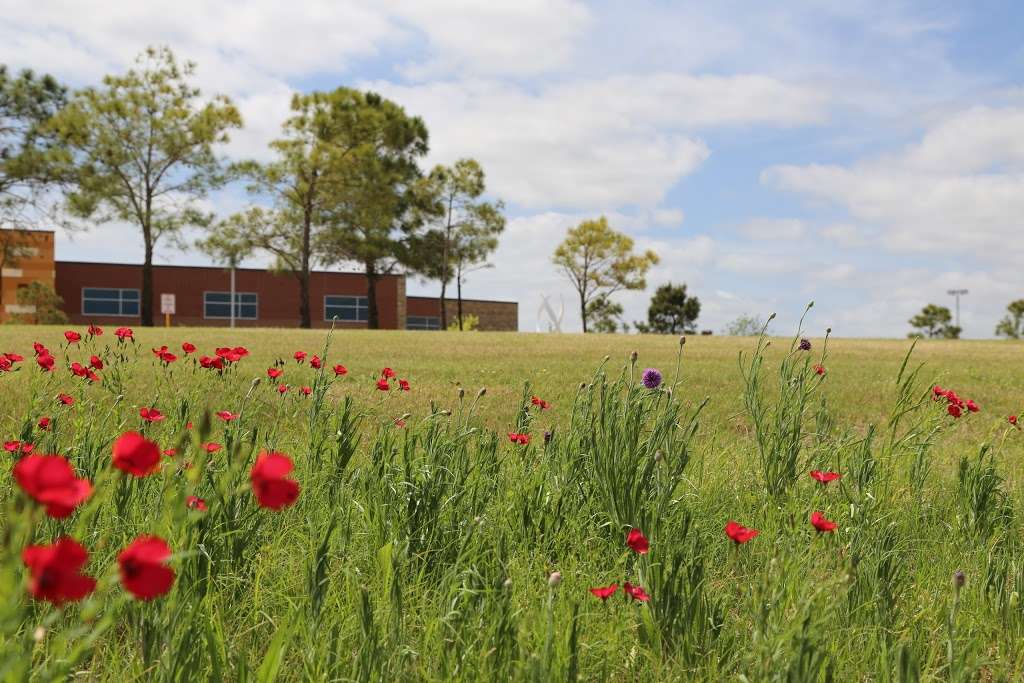 Pope Elementary, 19019 N Bridgeland Lake Pkwy, Cypress, TX 77433, USA