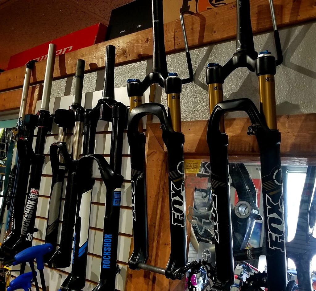 SOUTH TAMPA BICYCLES | 3431 S West Shore Blvd, Tampa, FL 33629 | Phone: (813) 319-3735