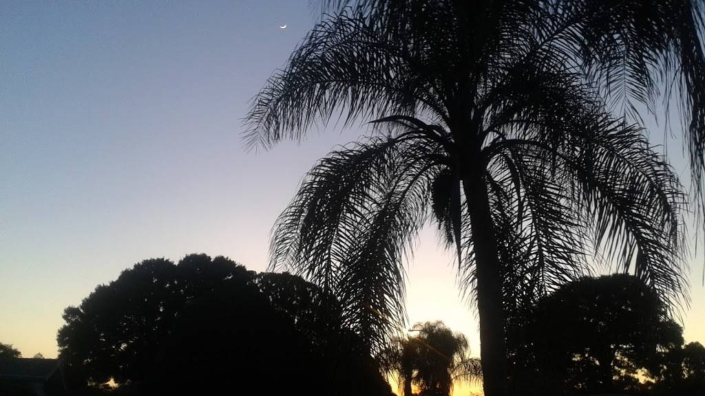 Sirmons Lake Park | 4298-4100 33rd Ave N, St. Petersburg, FL 33713, USA | Phone: (727) 893-7441