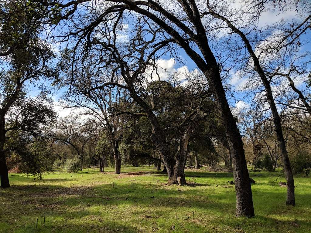 Jeffrey Fontana Park | Meridian Ave, San Jose, CA 95120, USA