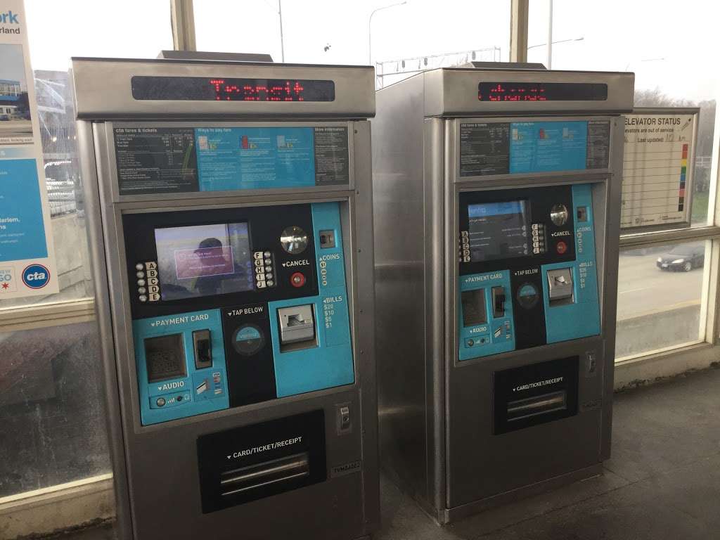 Addison Blue Line Station | Chicago, IL 60618