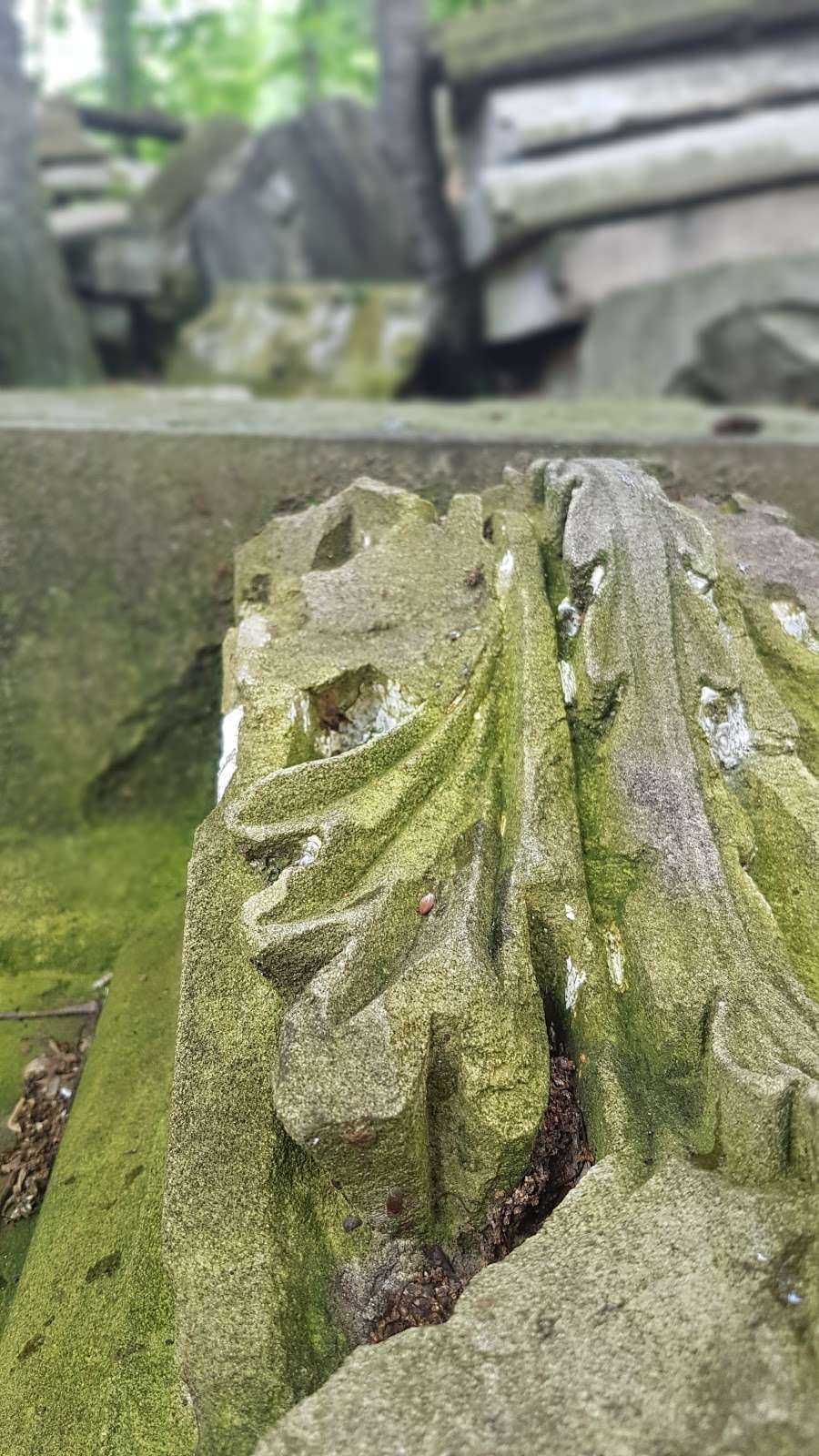 Rock Creek Capitol Ruins | Washington, DC 20015, USA