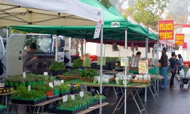 Nutressante | 10 Northern Blvd, Amherst, NH 03031, USA | Phone: (603) 204-5568