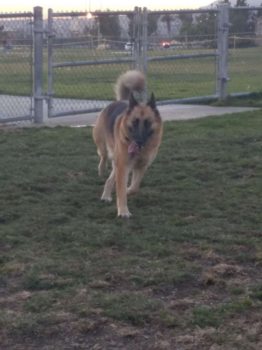 Fontana Dog Park | Fontana, CA 92336, USA