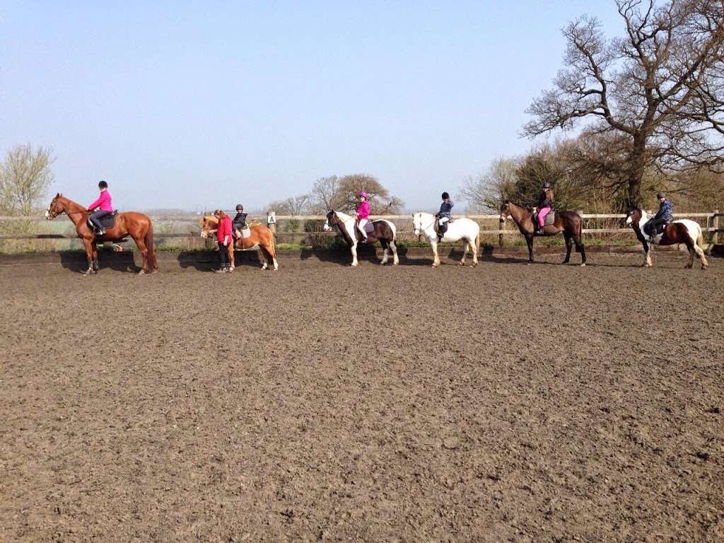 Stanmore Riding School | Warren La, Stanmore HA7 4LE, UK | Phone: 07852 142704