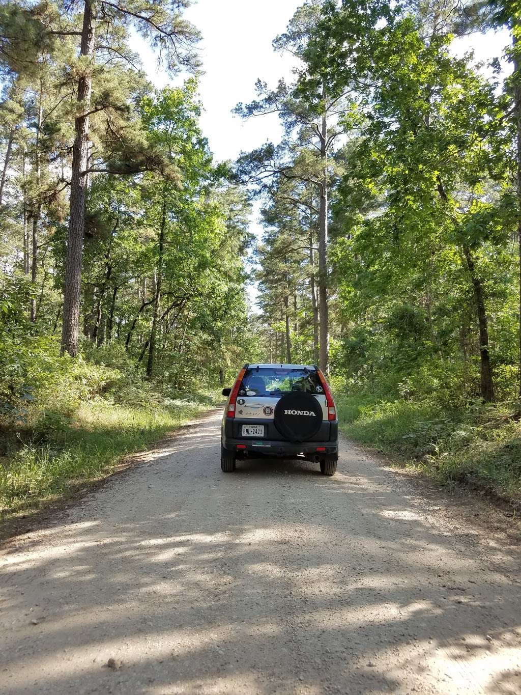 Sam Houston National Forest Equestrian Parking | Forest Service Rd 234, New Waverly, TX 77358, USA