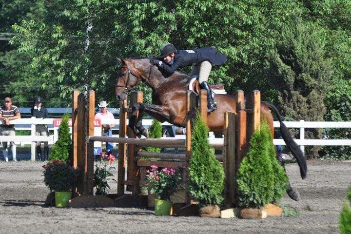 Rolling Acres Farm- Hunter/Jumper Horse Boarding, Lessons, Sales | 3111 Mt Carmel Cemetery Rd, Brookeville, MD 20833 | Phone: (301) 461-7159