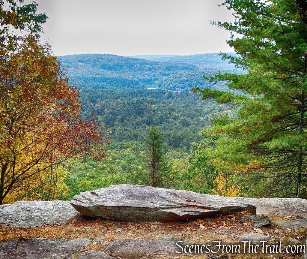 Tusten Mountain Trail | Narrowsburg, NY 12764, USA