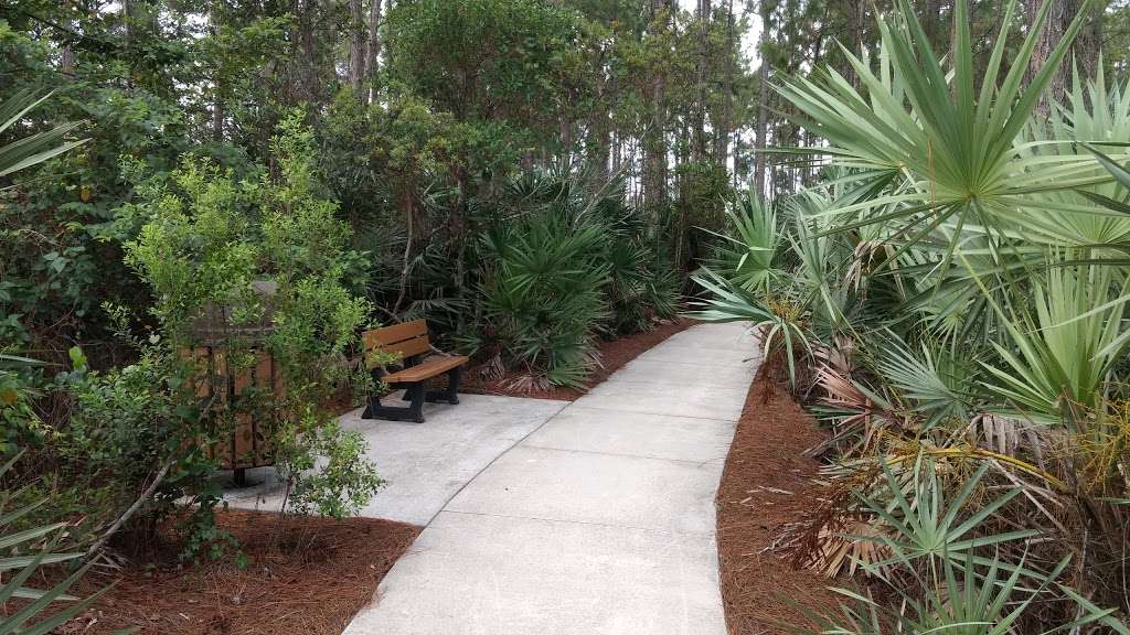 Saw Palmetto Natural Area | 7097 NW 71st St, Coconut Creek, FL 33073 | Phone: (954) 357-5100