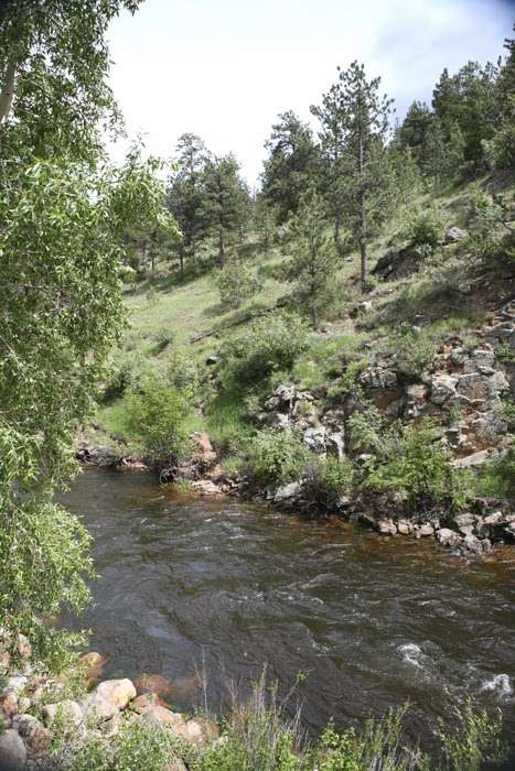 Timber Creek Chalets | 2115 Fall River Rd, Estes Park, CO 80517, USA | Phone: (970) 586-8803