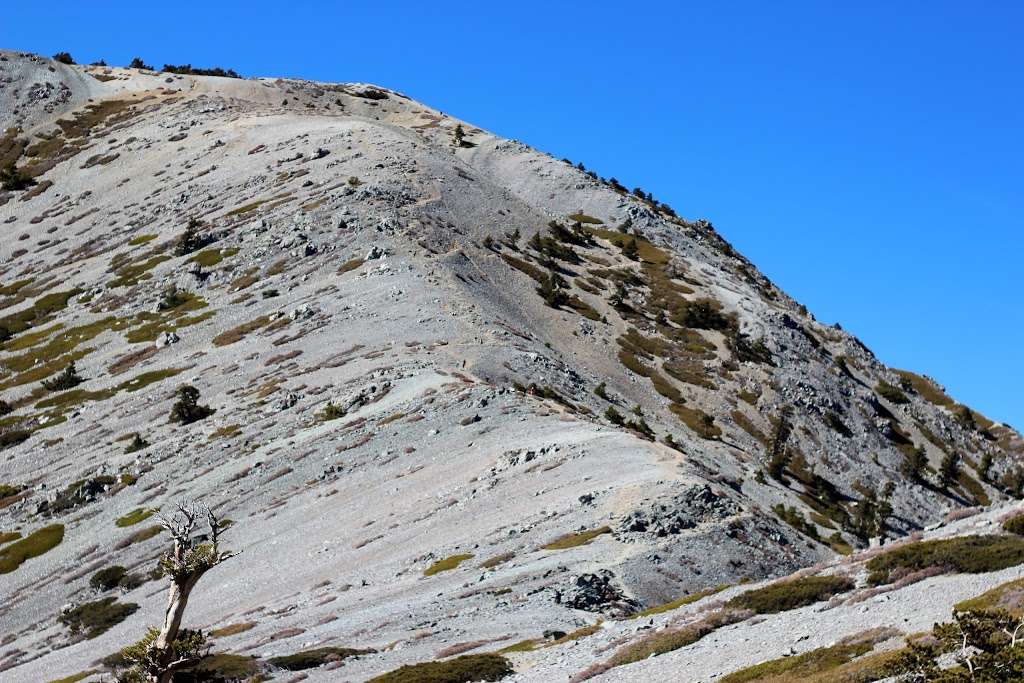 Devils Backbone Trail | 2051 Devils Backbone Rd, Lytle Creek, CA 92358, USA | Phone: (909) 982-2829